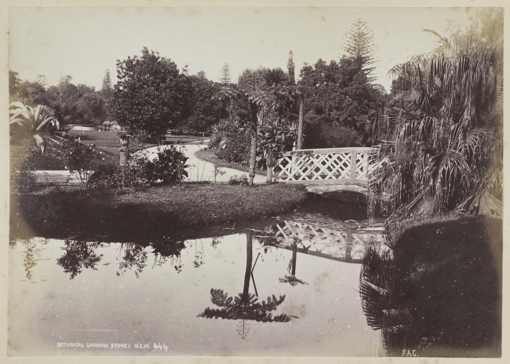 Botanical Gardens, Sydney N.S.W.