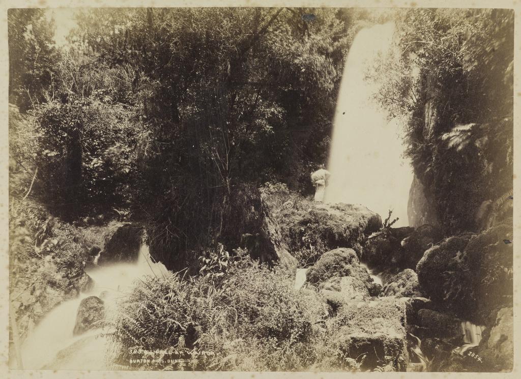 4 ft. Fall At Wairoa