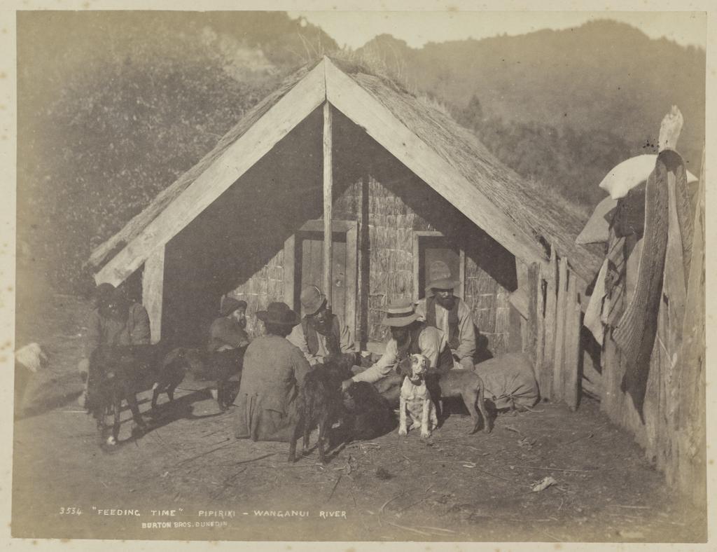 "Feeding Time" Pipiriki, Wanganui River