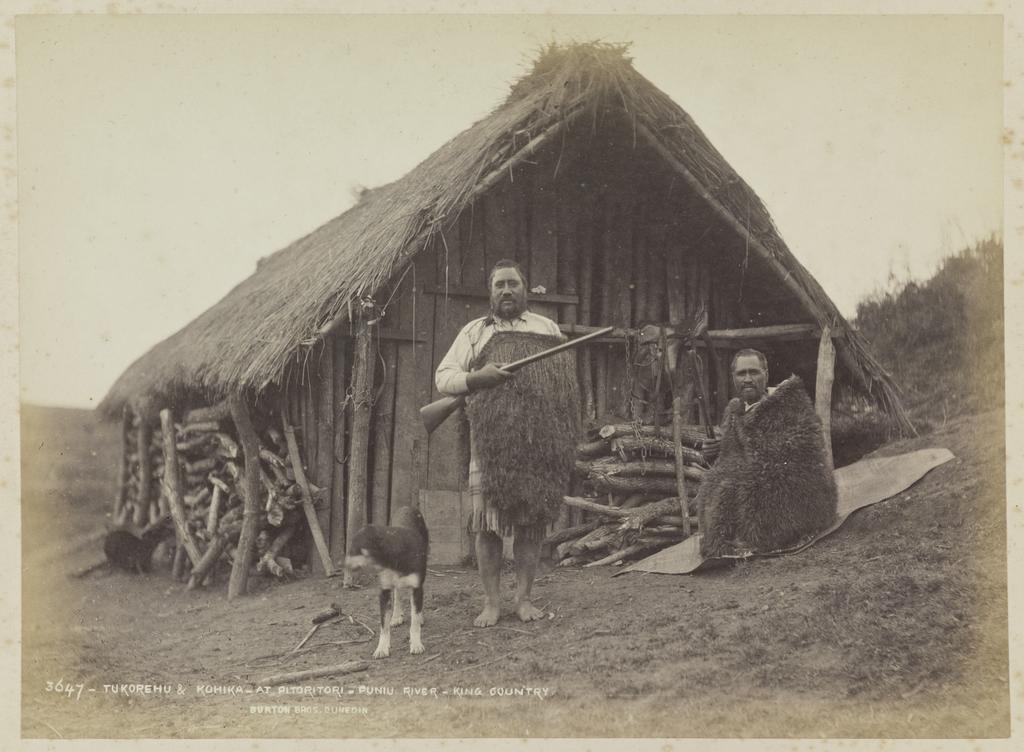 Tukorehu &amp; Kohika at Pitoritori, Puniu River, King Country