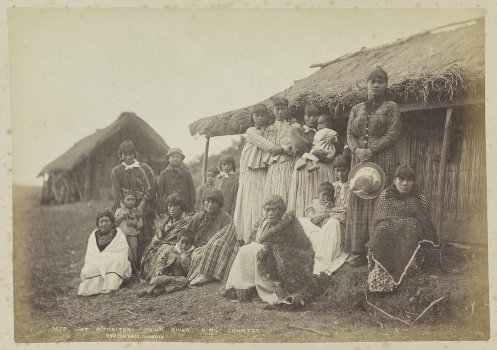 At Pitoritori, Puniu River, King Country