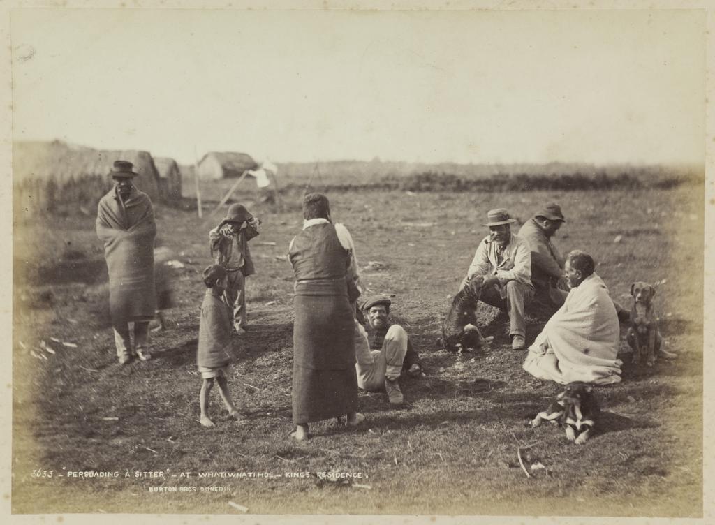 "Persuading a sitter", at Whatiwhatihoe, King's Residence