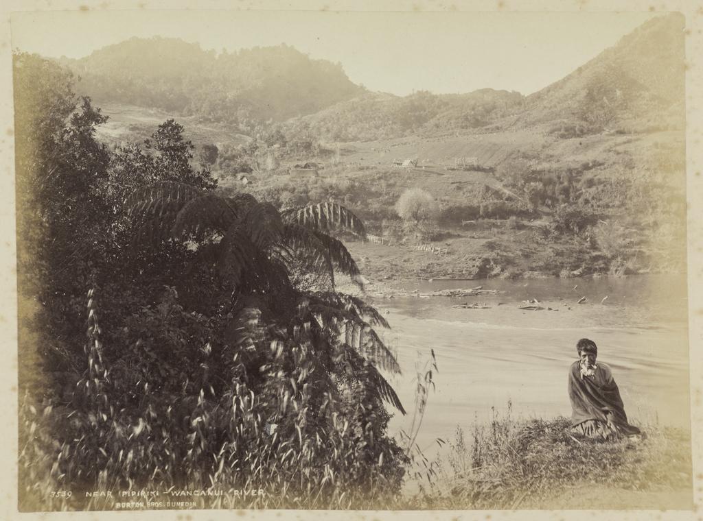 Near Pipiriki, Wanganui River