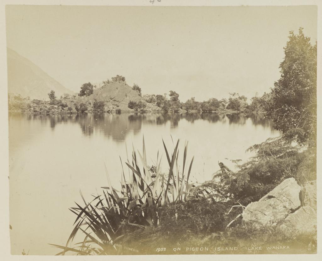On Pigeon Island, Lake Wanaka