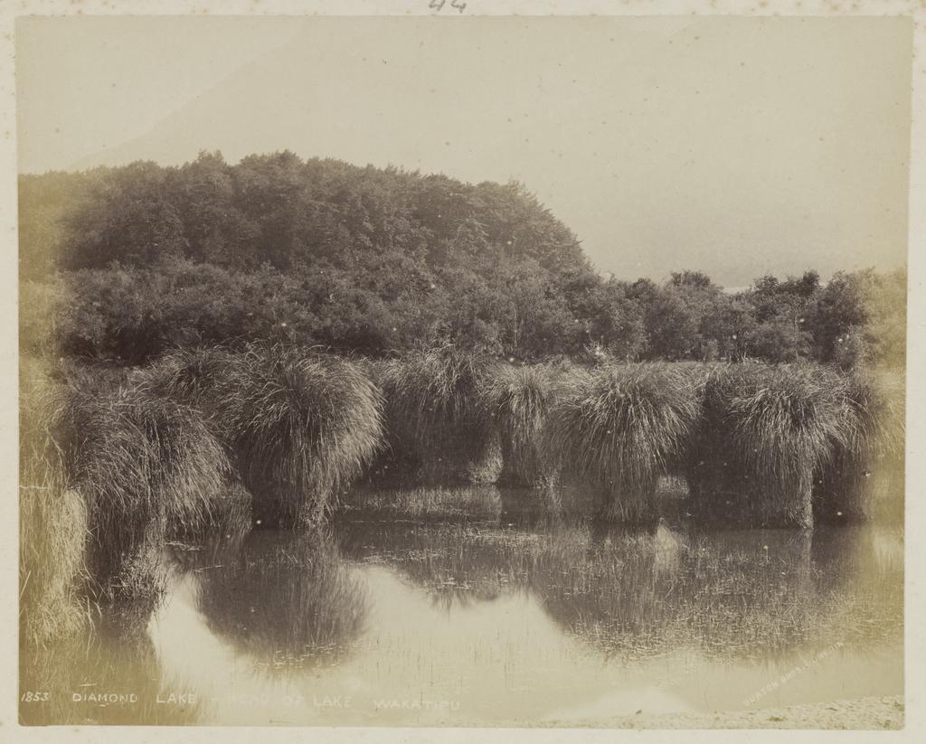 Diamond Lake, Head of Lake Wakatipu