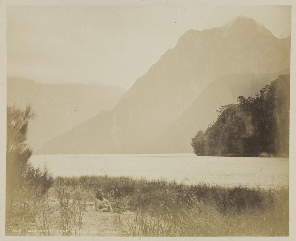 Harrison's Cove, Milford Sound
