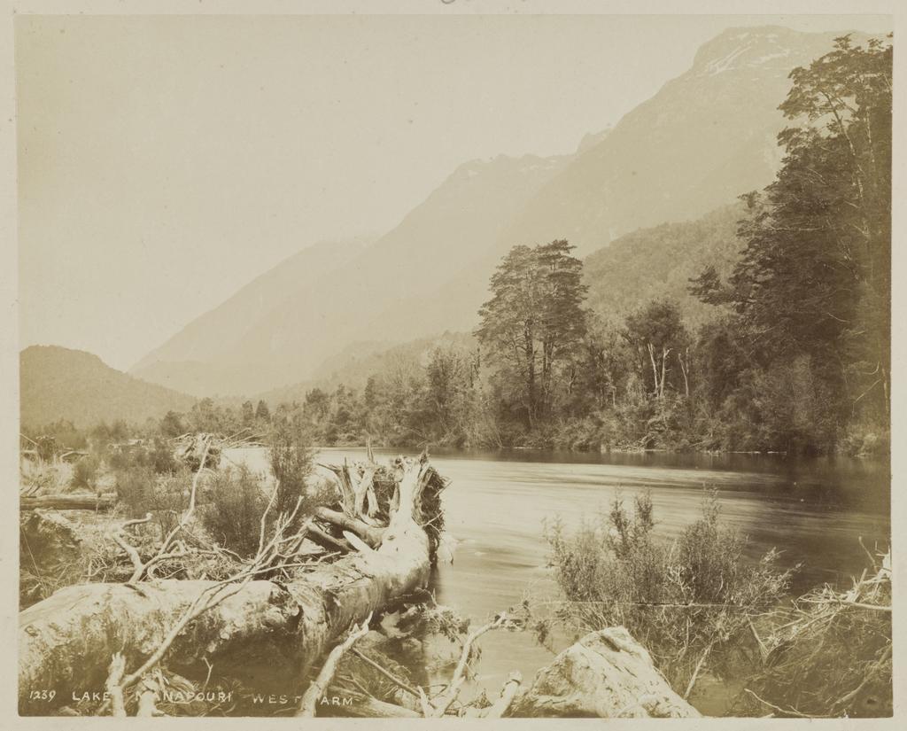 Lake Manapouri, West Arm