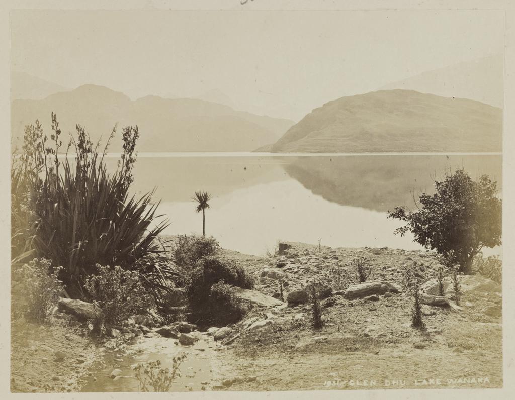 Glendhu, Lake Wanaka