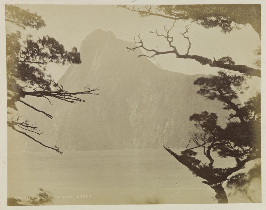 The Lion, Milford Sound