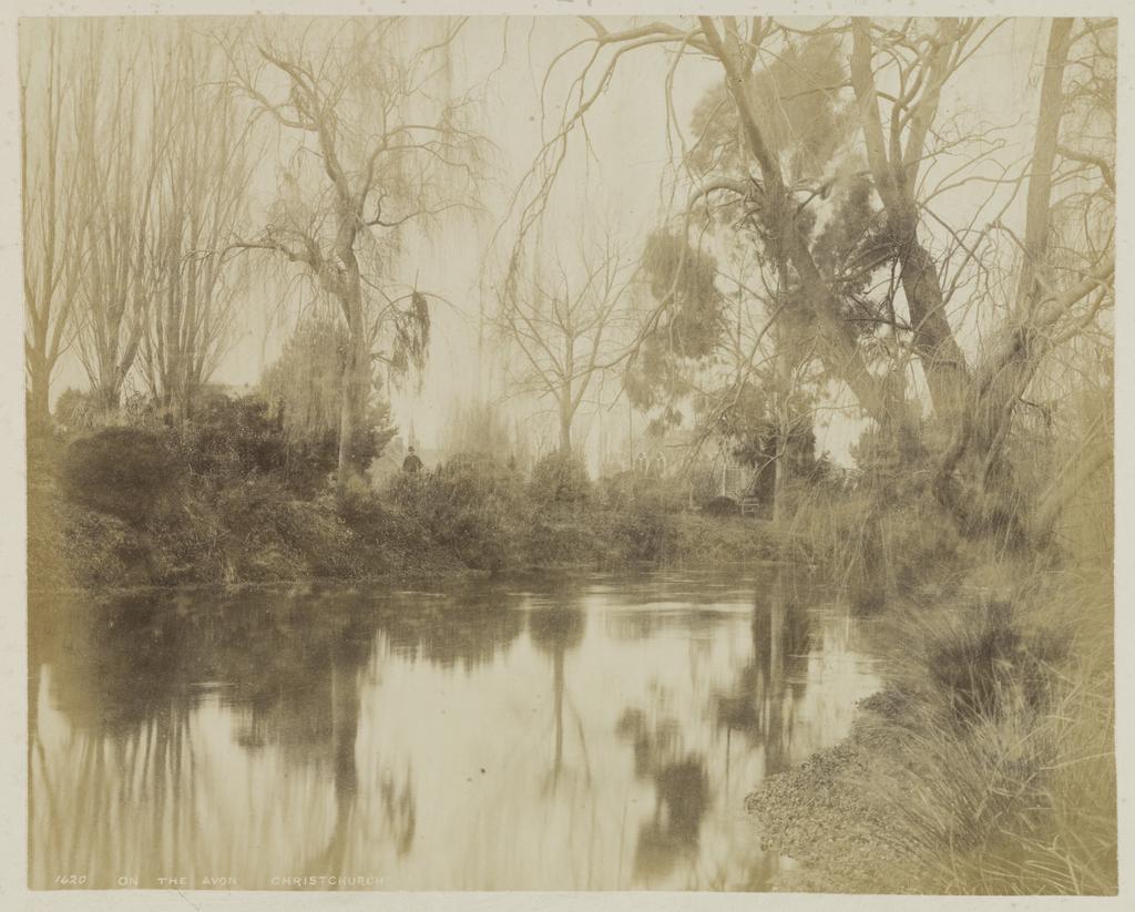 On the Avon, Christchurch