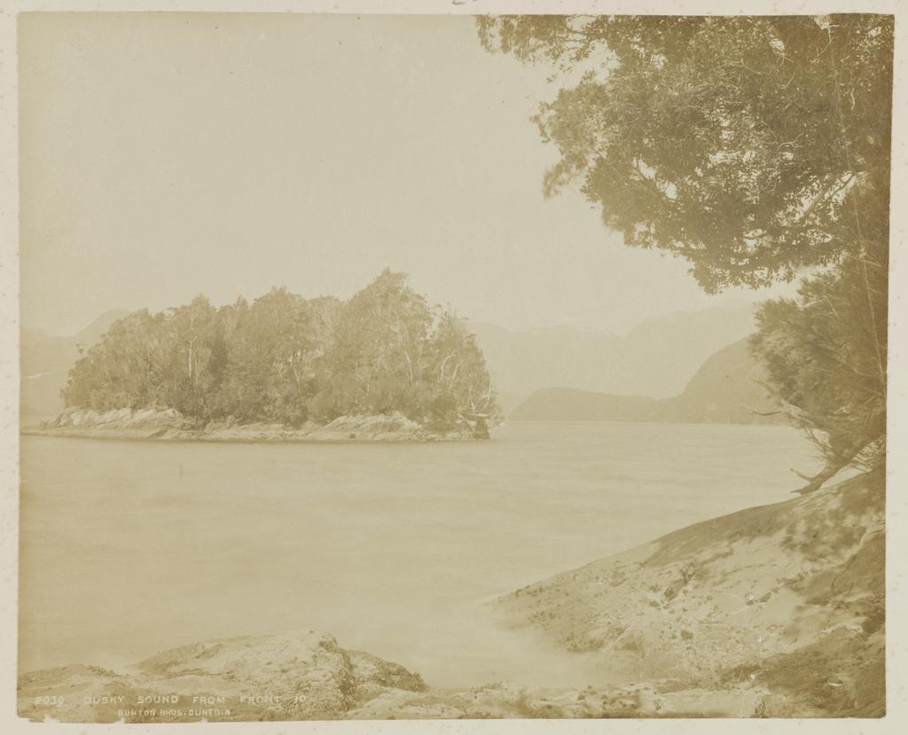 Dusky Sound from Front Island