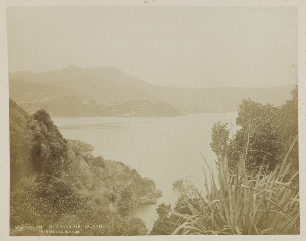 From Quarantine Island