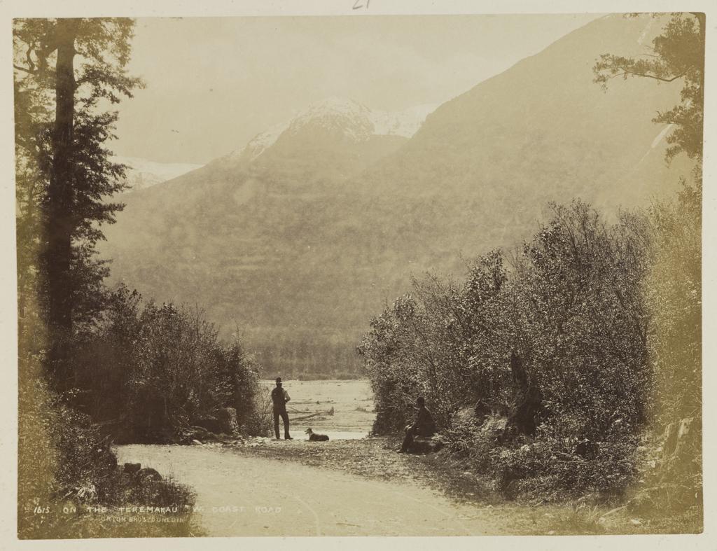 On the Teremakau, West Coast Road
