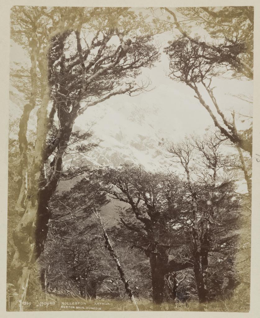 Mount Rolleston Arthur's Pass