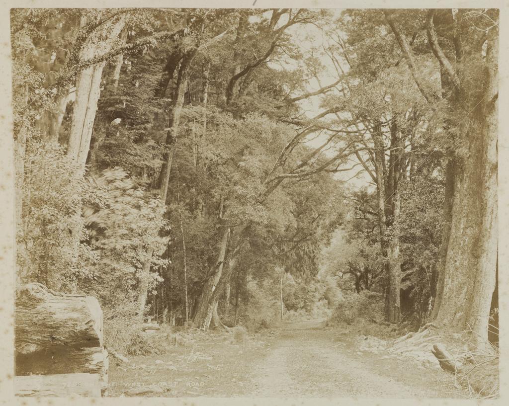 The West Coast Road