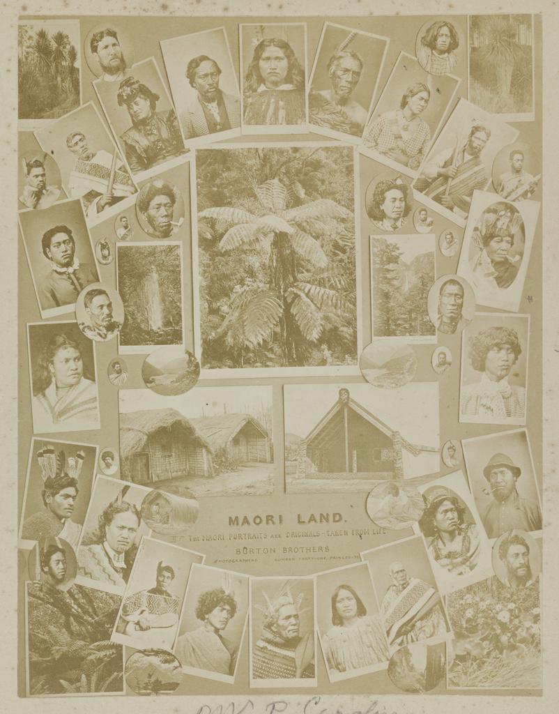Māori Land