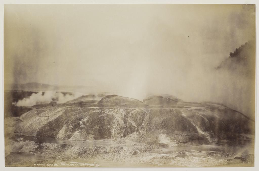 Waikite Geyser, Whakarewarewa