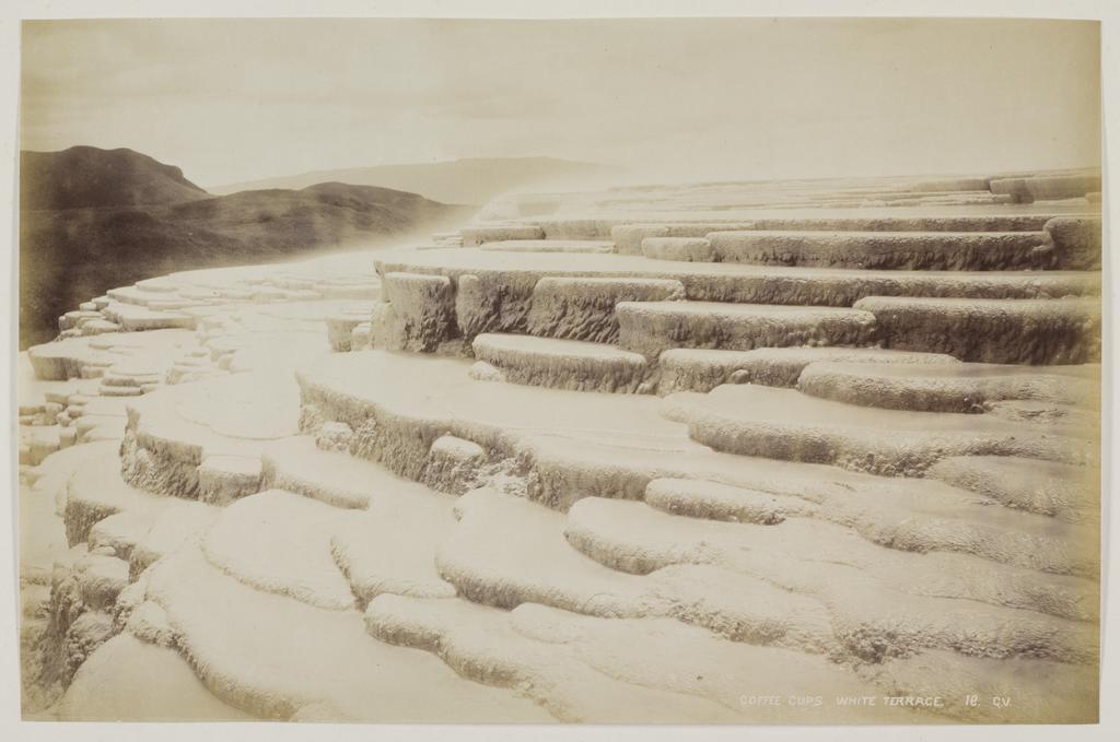 Coffee Cups, White Terrace