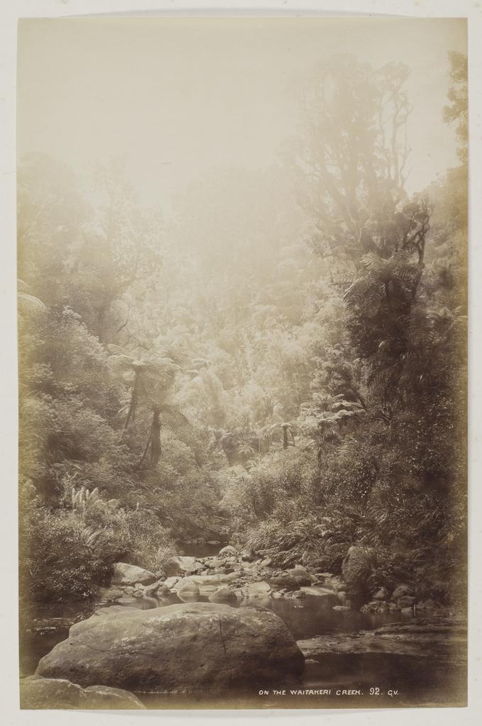 On the Waitakere Creek