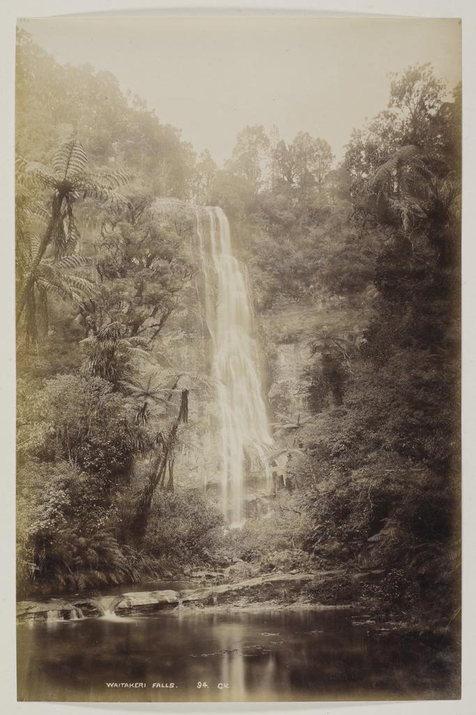Waitakeri Falls