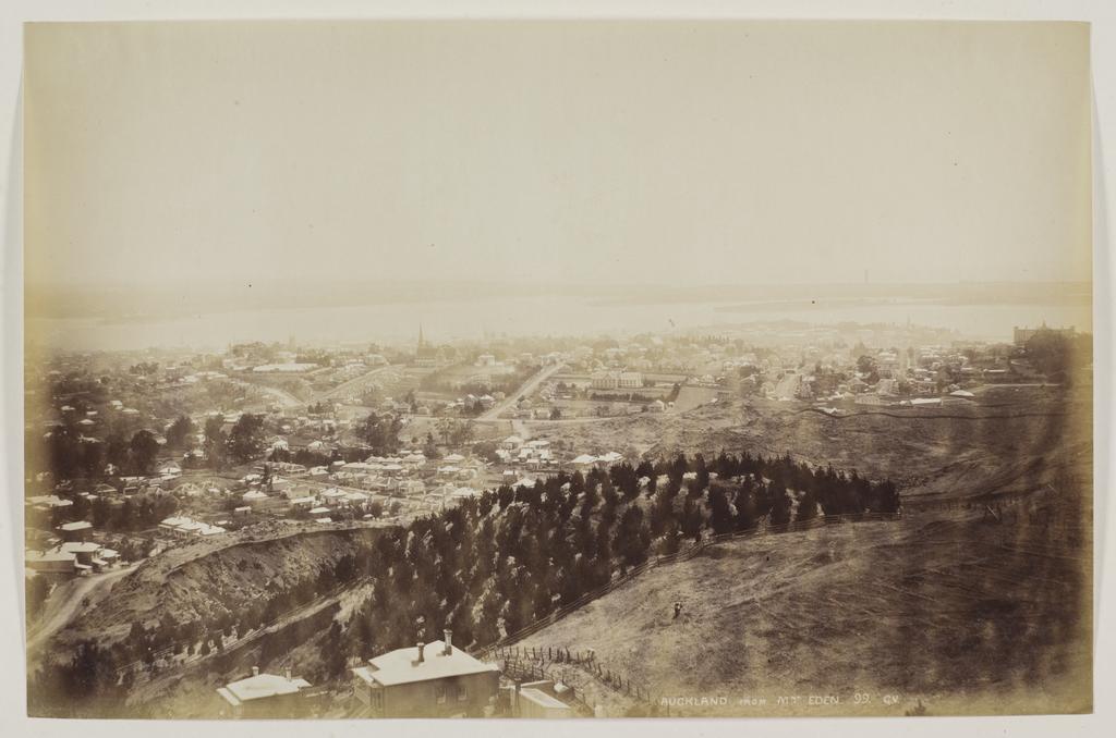 Auckland from Mt Eden