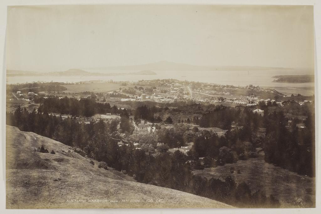 Auckland Harbour from Mt Eden