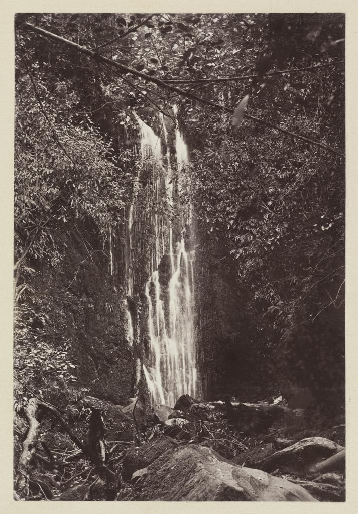 Nicols Creek, Water of Leith