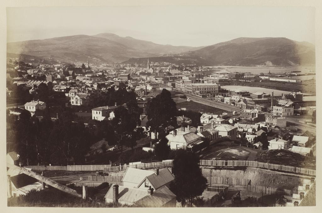 Dunedin from South Belt