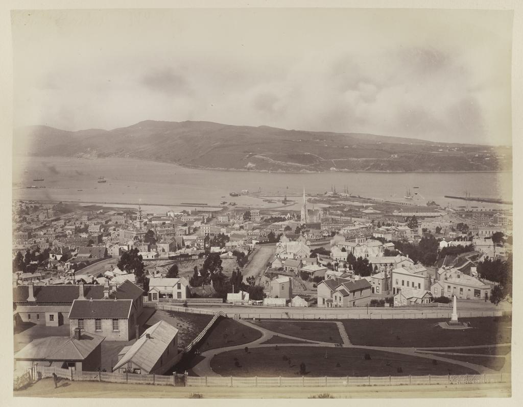 Dunedin from Town Belt (near Roslyn)