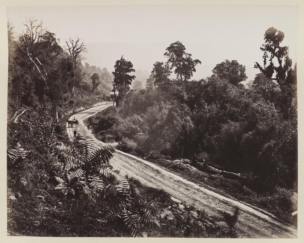 Valley of Leith, Dunedin