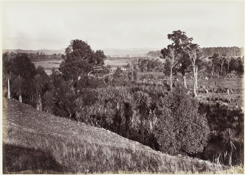 Distant view of Masterton, Wairarapa from the Opaki Plains