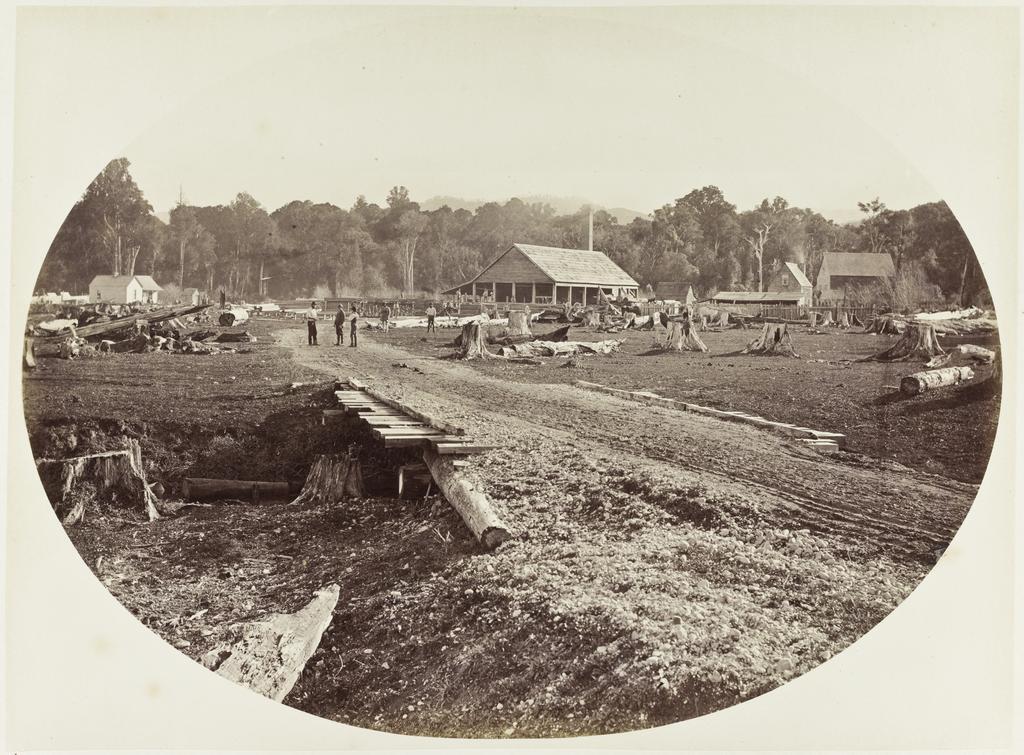 Stuart's Saw Mills, Hooker's Line, near Carterton, Wairarapa