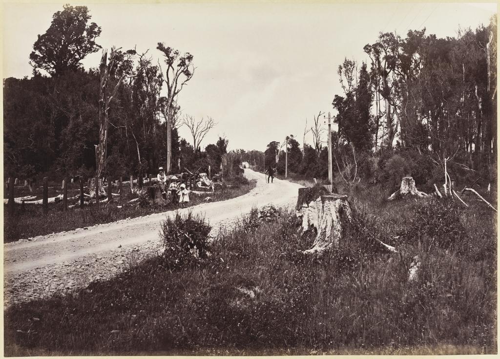 Wellington and Masterton Road, near Carterton, looking North