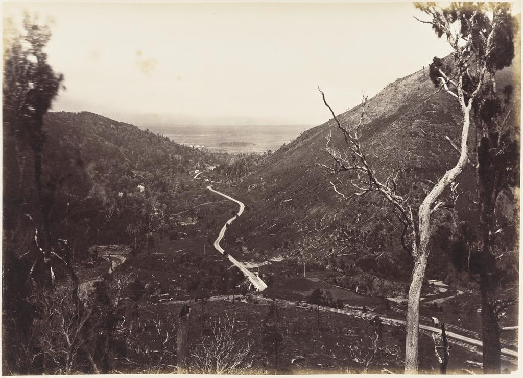 Down on the Wairarapa Plains from the Remutaka Hill