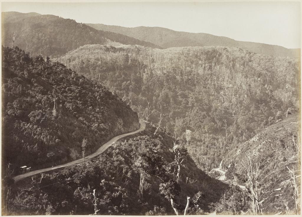 Drakes Elbow, Remutaka Hill, on the Featherston side
