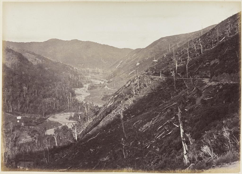 Remutaka Hill from the Roadman's Hut, looking down on the Featherston side