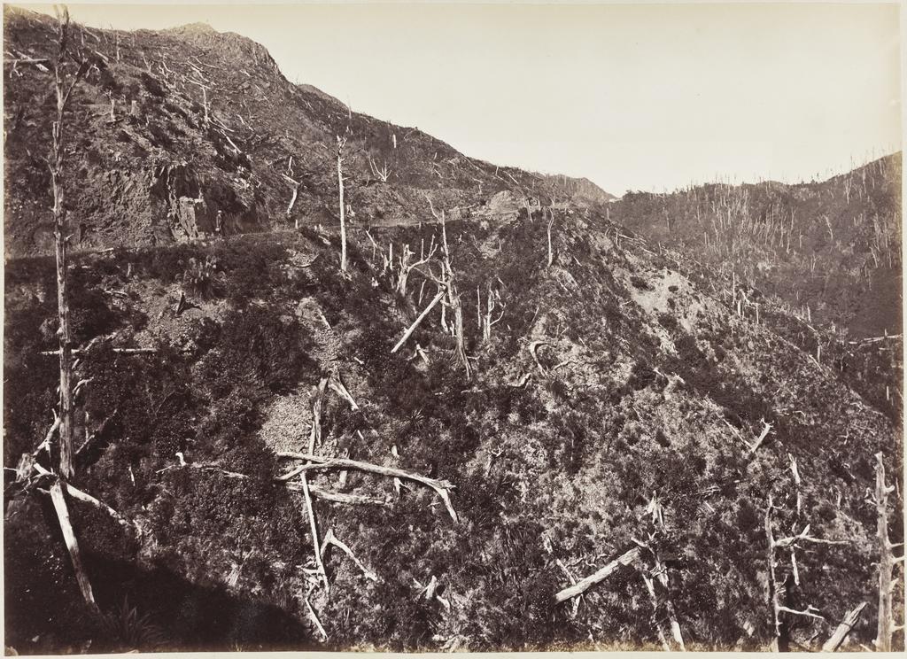 Remutaka Hill, one mile from the top, looking up on the Featherston side