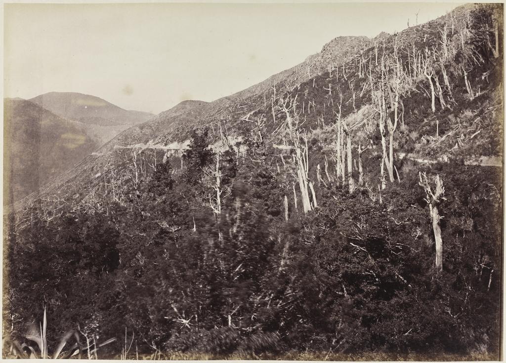 Featherston side of the Remutaka looking down from the top