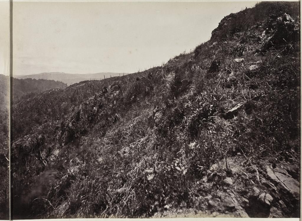 Wellington side of the Remutaka Hill, looking down from old house on the top [part three]
