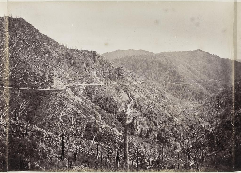 Wellington side of the Remutaka Hill, looking down from old house on the top [part two]
