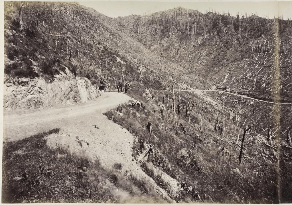 Wellington side of the Remutaka Hill, looking down from old house on the top [part one]