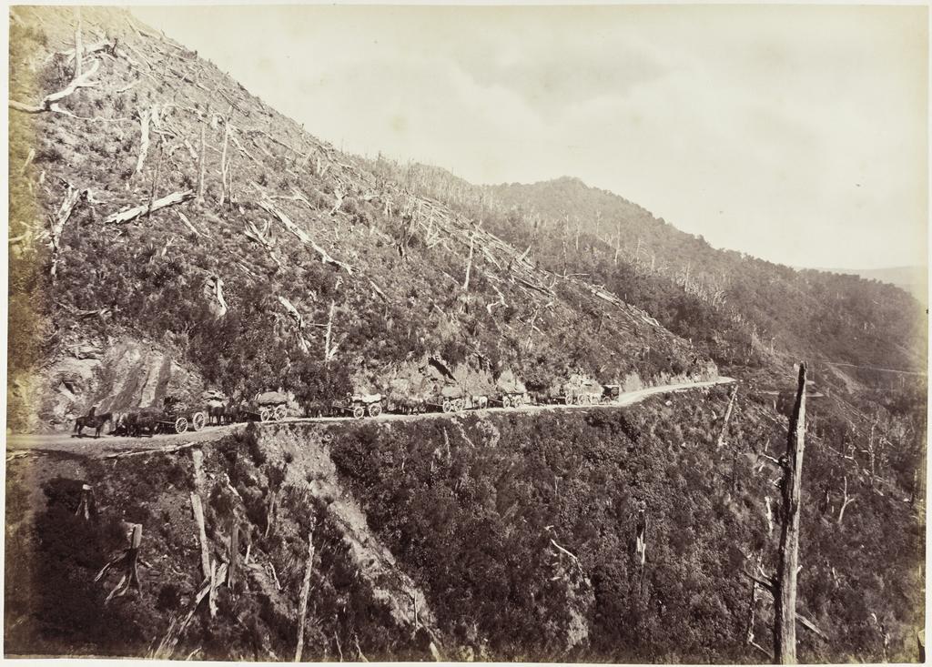 Remutaka Hill, one mile from the top, looking down towards Wellington