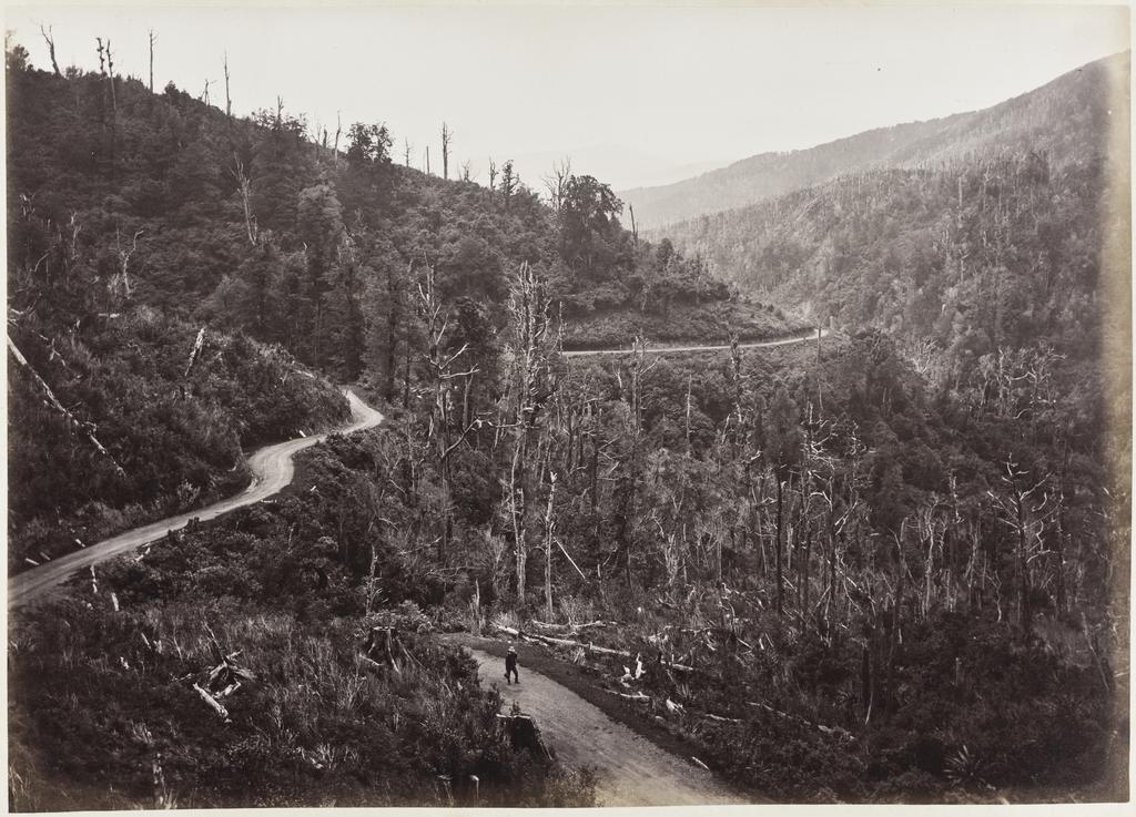 Bushy Bend, Red Clay Point,Remutaka Hill