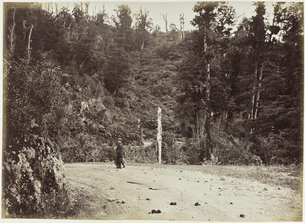 Middle of Bushy Bend, Remutaka Hill, looking down towards Wellington