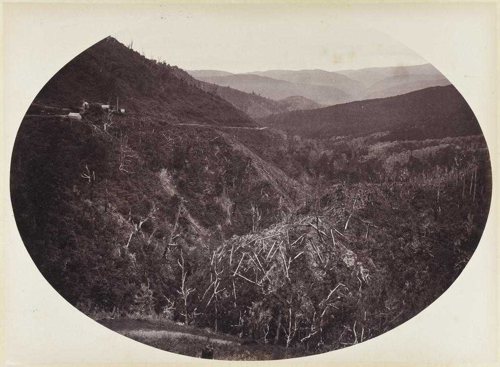 Half way up the Remutaka Hill, Wellington side looking down