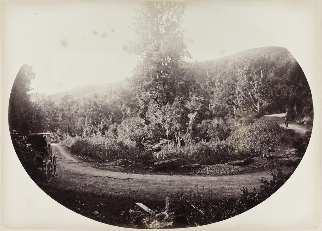 Horseshoe Bend, bottom of the Remutaka
