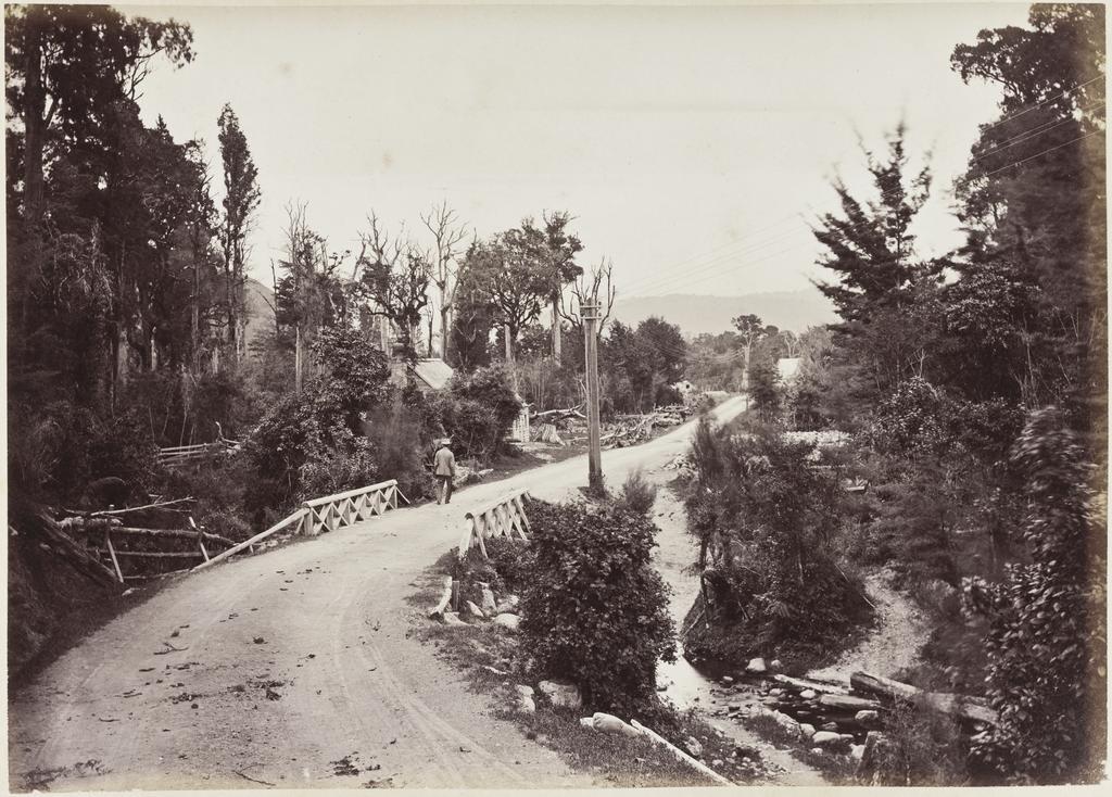 Bottom of the Mungaroa [Mangaroa] Hill, looking down towards Wellington