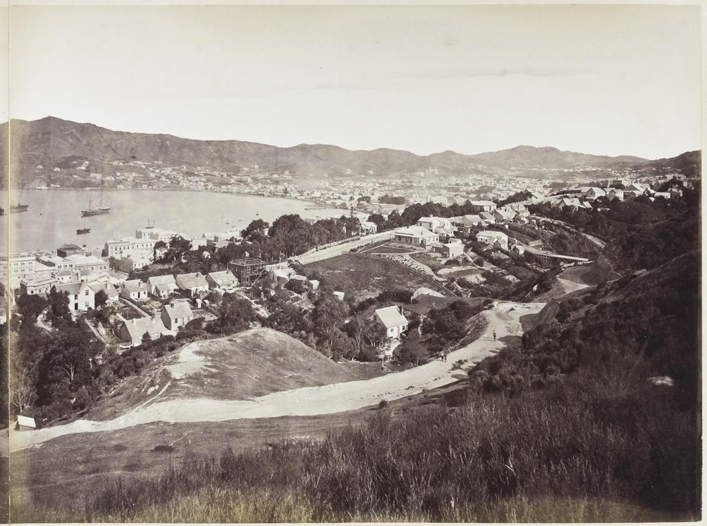 City of Wellington, Port Nicholson, seat of the New Zealand Government [part three]