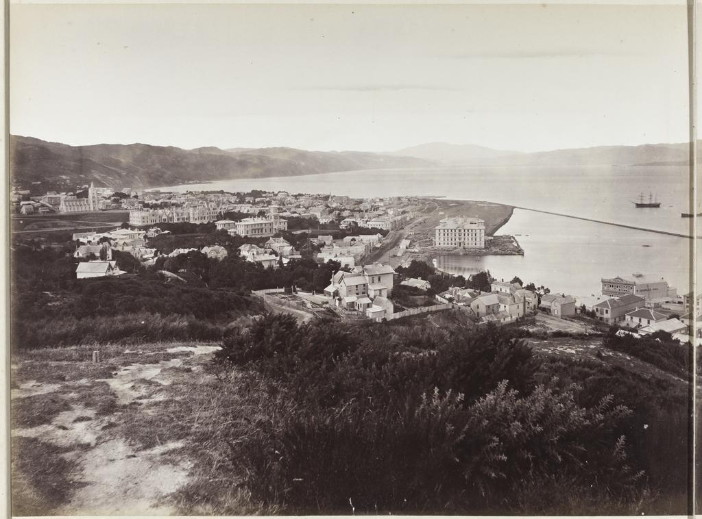 City of Wellington, Port Nicholson, seat of the New Zealand Government [part one]