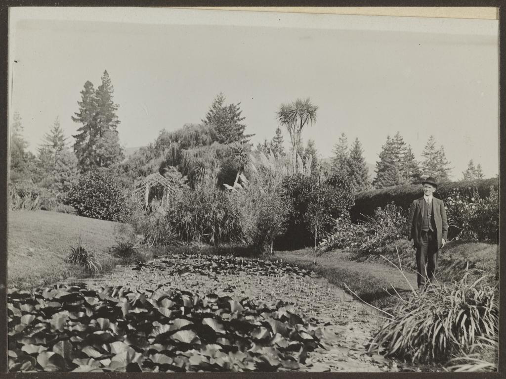 Lily pond, Knottingly Park